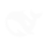 DeepSeek
